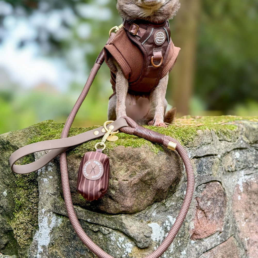 4ft Rope Lead - Brown