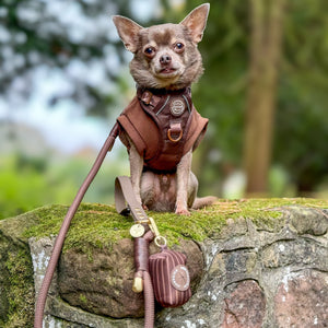 Poo Bag Holder - Walkies Ready® Chocolate Brown