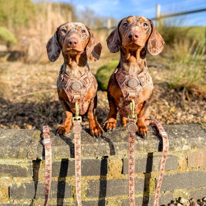 Disney© Lead - Slinky