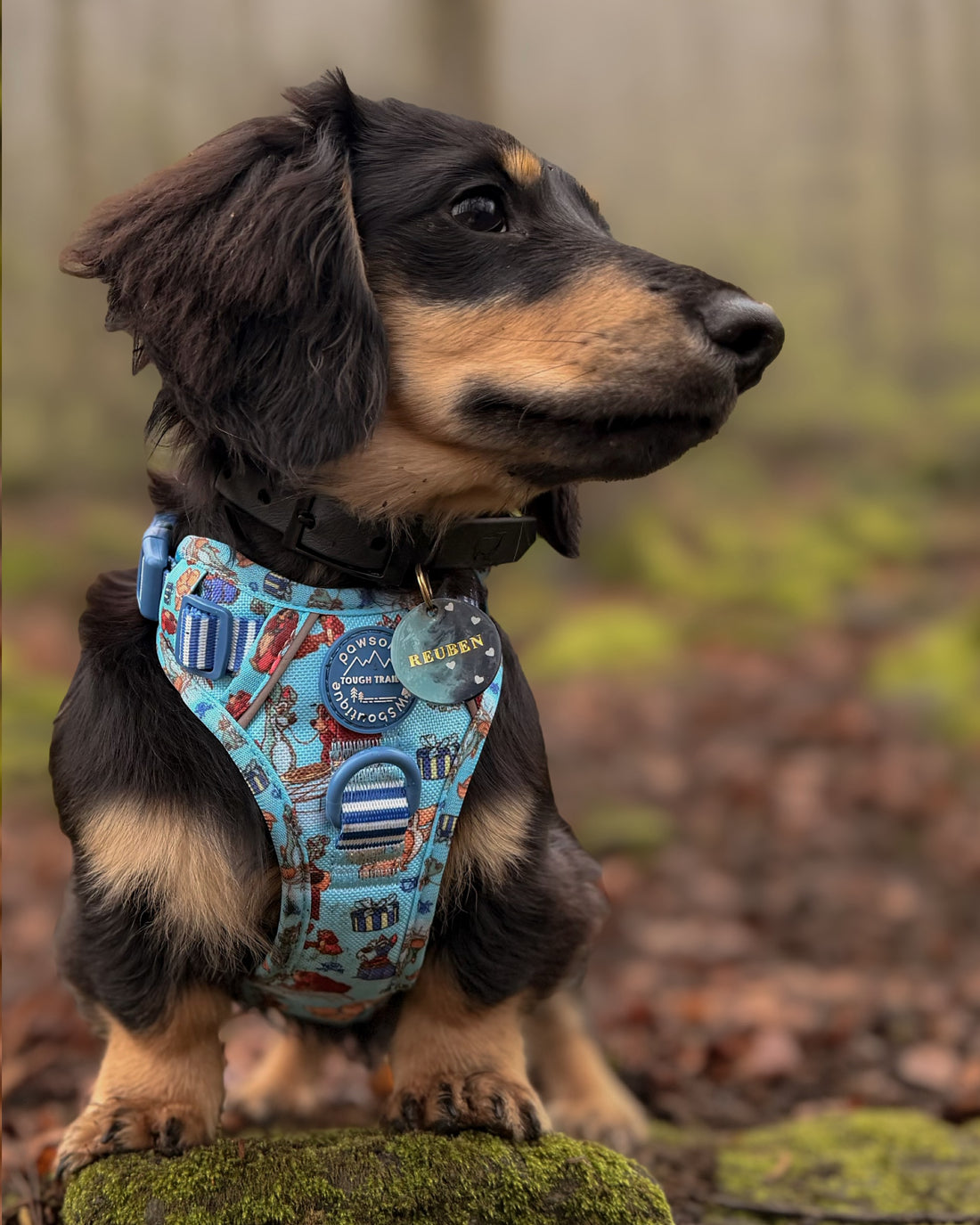 Disney© Tough Trails™ Harness - Tails Of Love