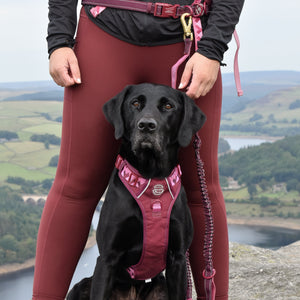 Handsfree Lead - Walkies Ready® Mulberry