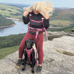 Handsfree Lead - Walkies Ready® Mulberry