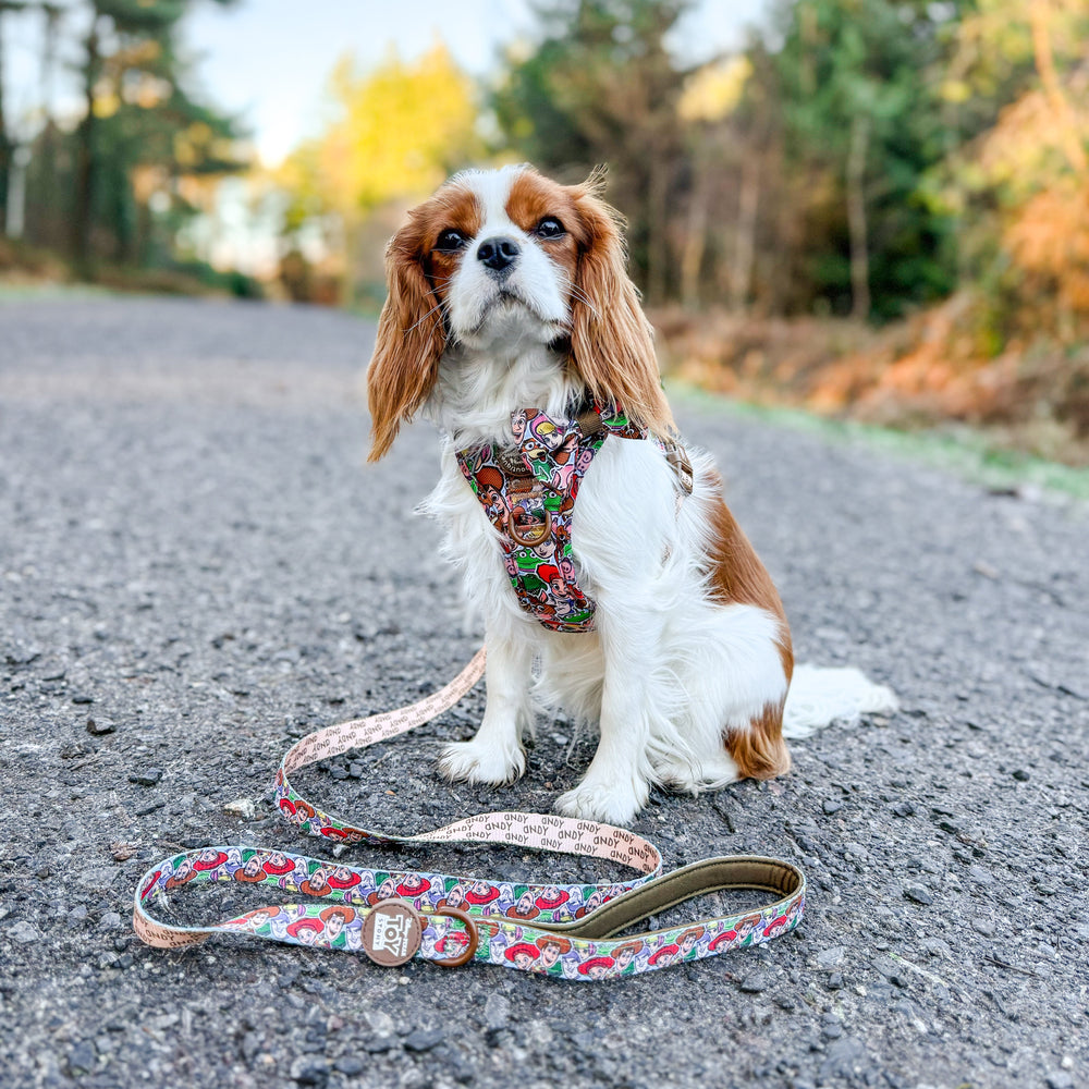 Disney© Lead - Toy Story Friends