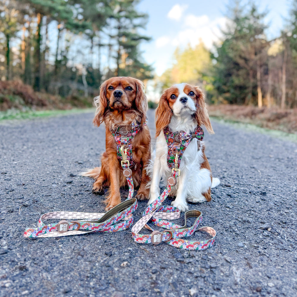 Disney© Lead - Toy Story Friends