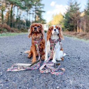 Disney© Lead - Toy Story Friends