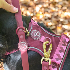 4ft Waterproof Lead - Walkies Ready® Mulberry