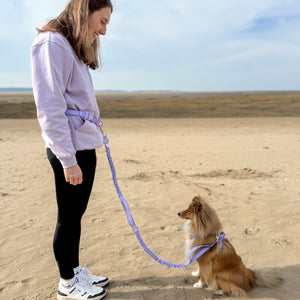 Handsfree Lead - Walkies Ready® Lavender Lilac