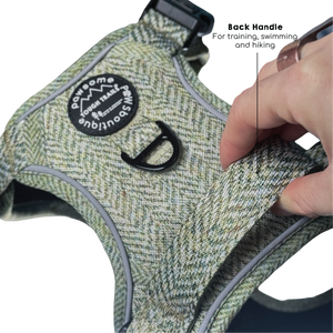Tough Trails™ Harness - Country Thyme