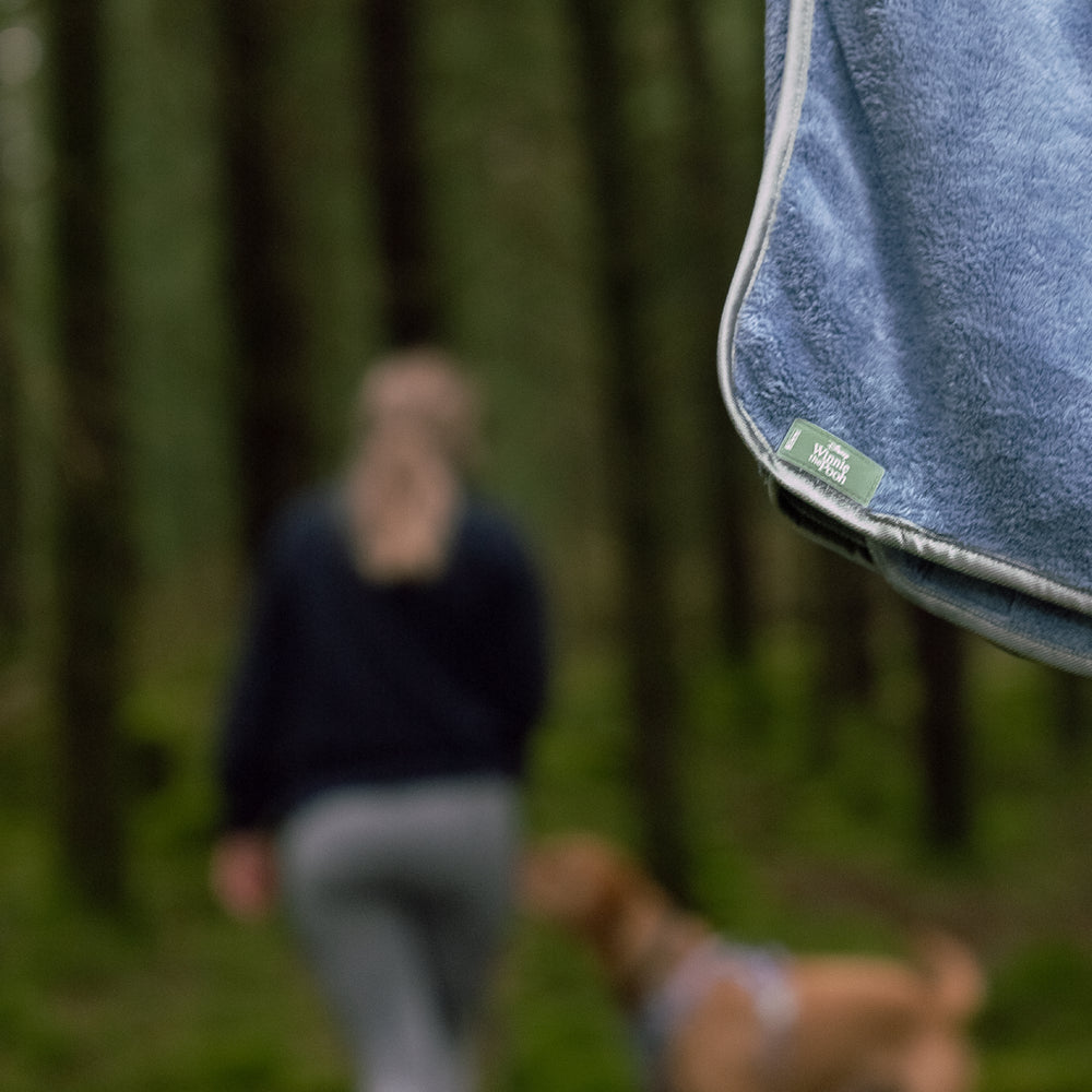 Disney© Microfibre Towel - Winnie + Friends