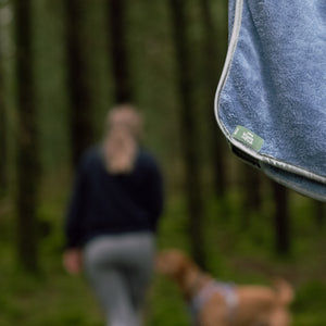 Disney© Microfibre Towel - Winnie + Friends