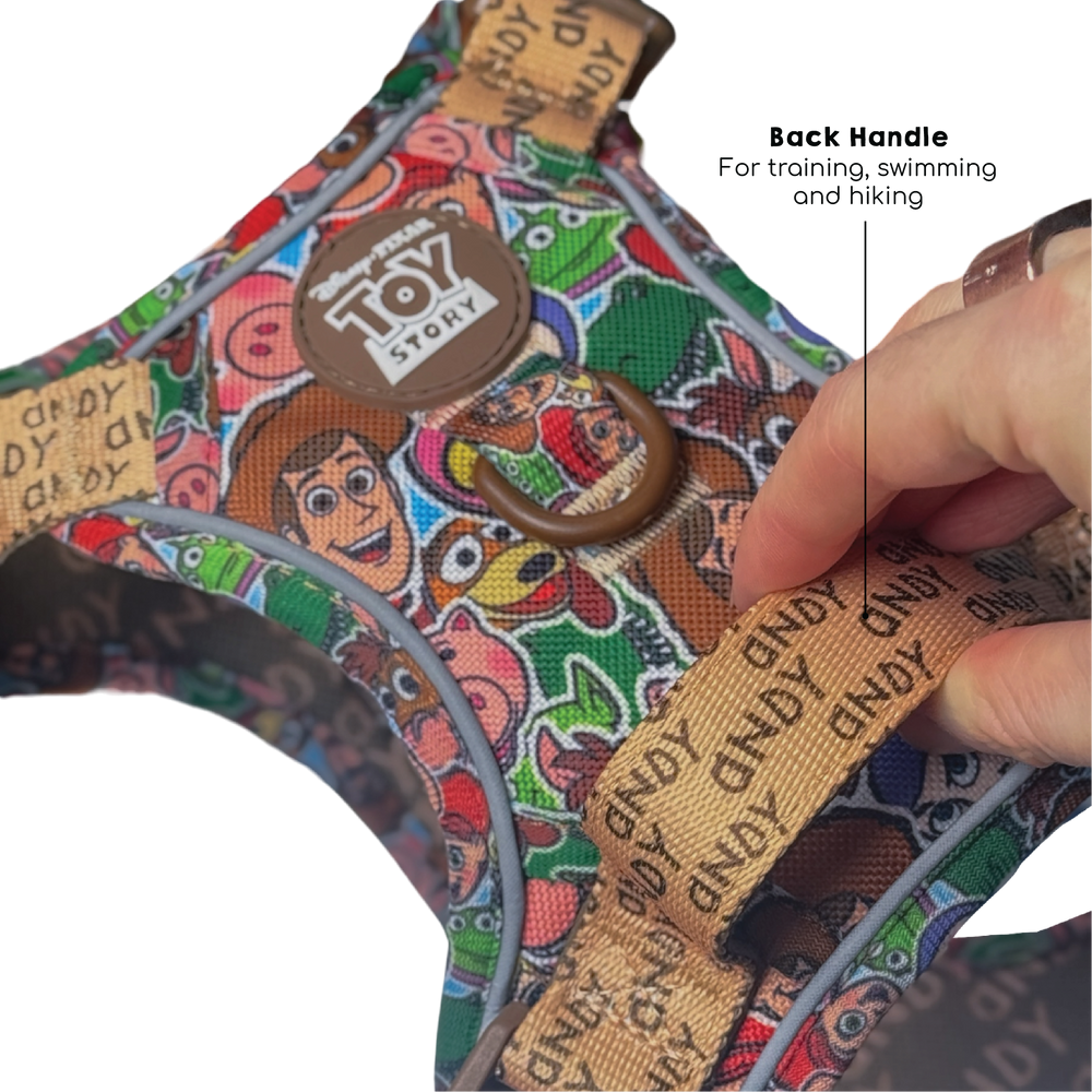 Disney© Tough Trails™ Harness - Toy Story Friends