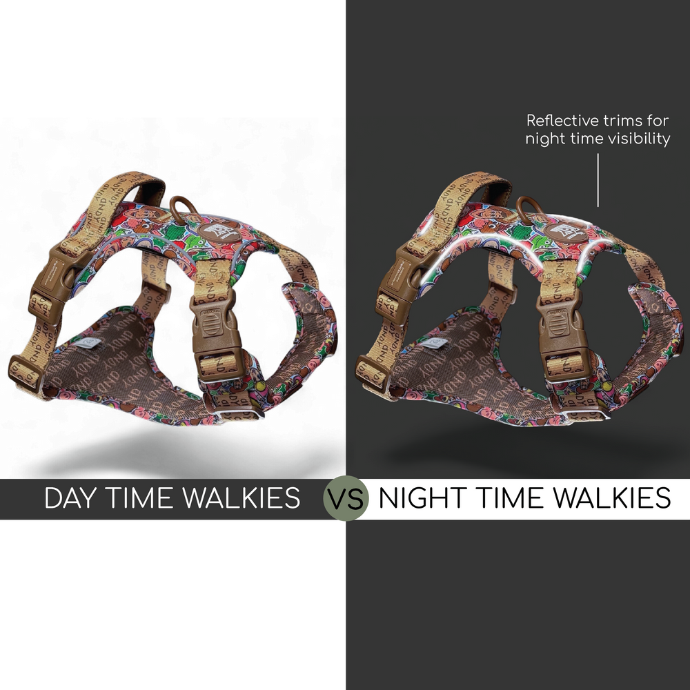 Disney© Tough Trails™ Harness - Toy Story Friends