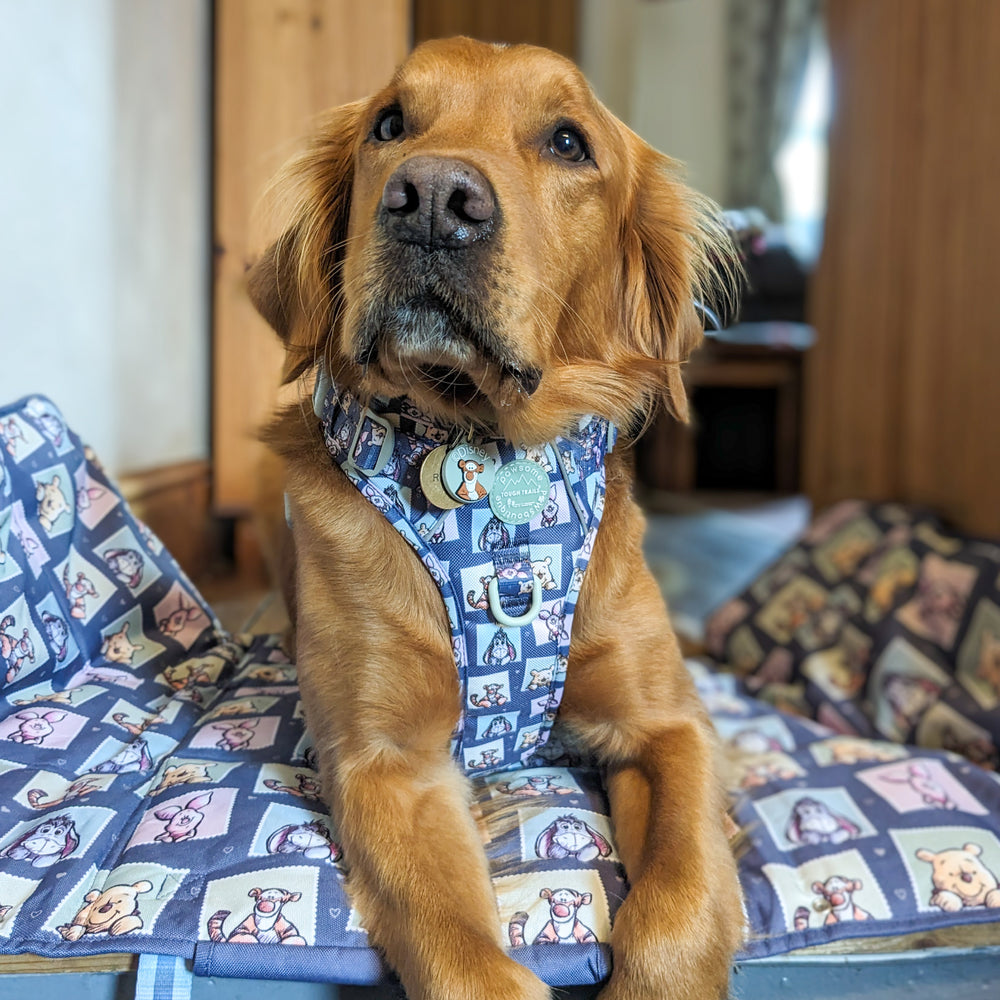 Disney© Travel Mat - Winnie + Friends