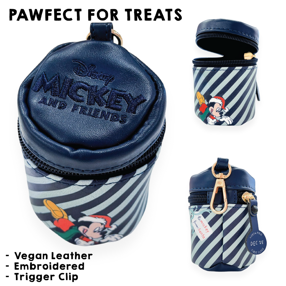 Disney© Treat Pouch - Santas Mickey Mail