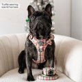 Lead - Plaid Pup