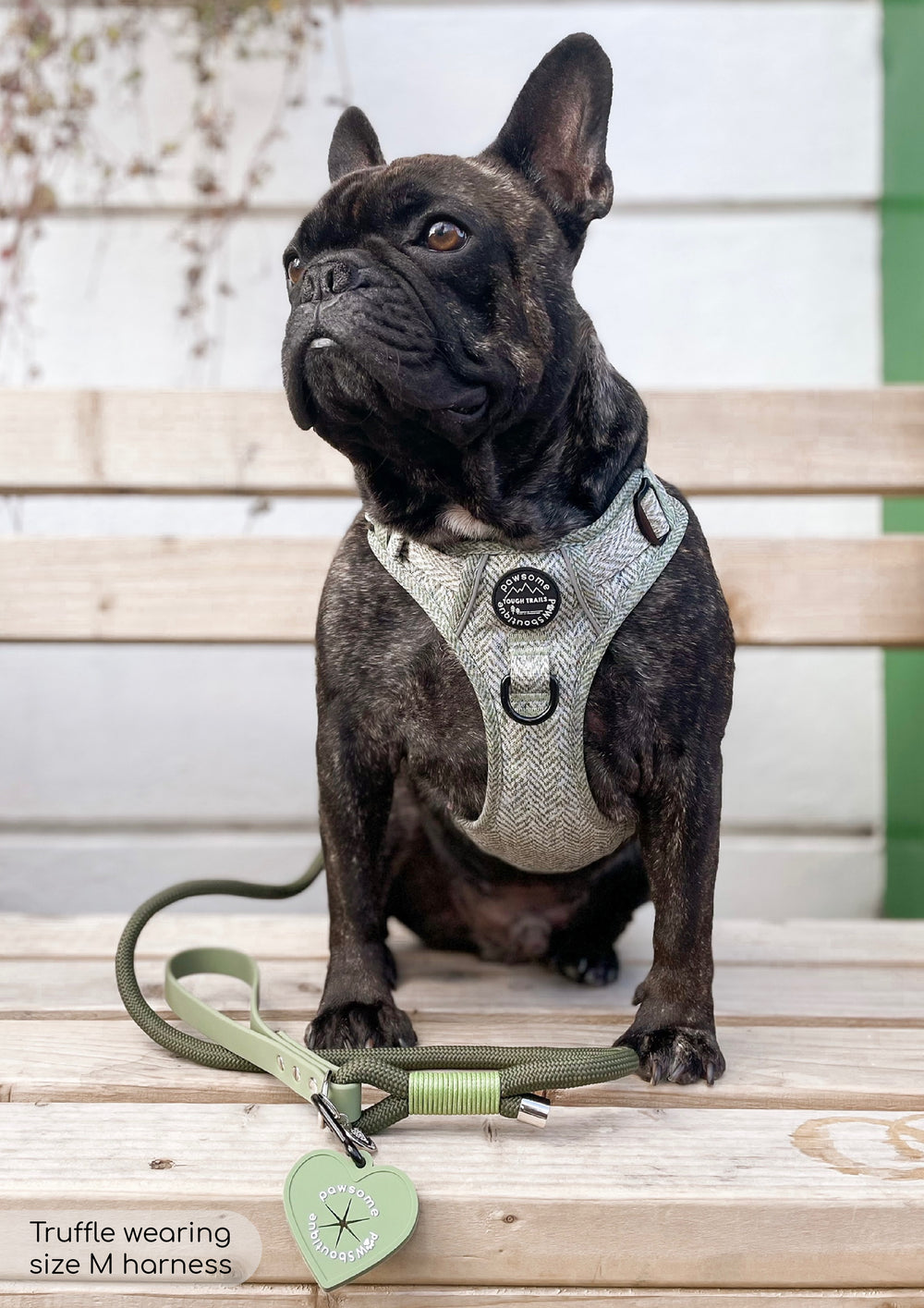 Tough Trails™ Harness - Country Thyme