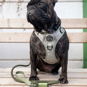 Tough Trails™ Harness - Country Thyme