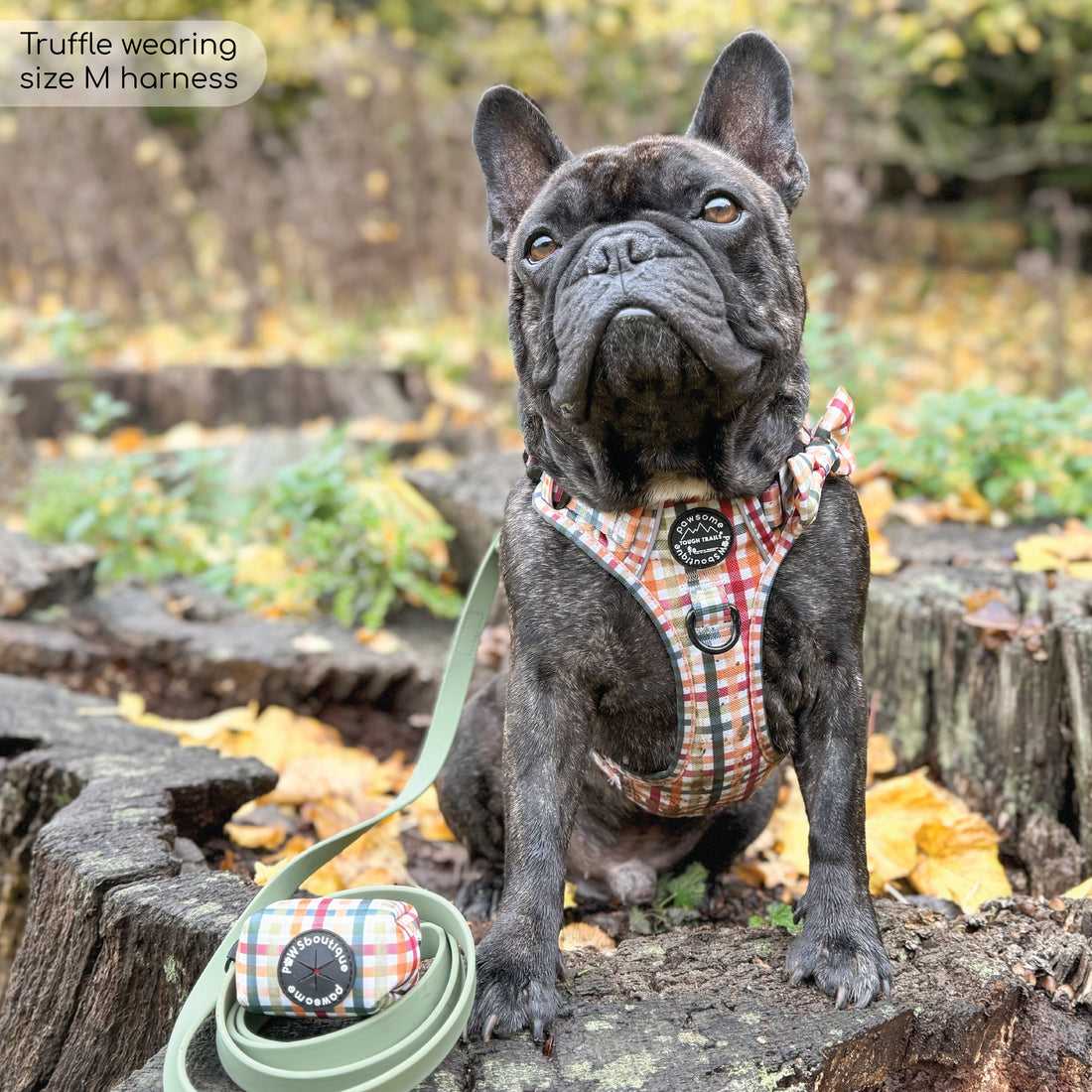 Poo Bag Holder - Plaid Pup