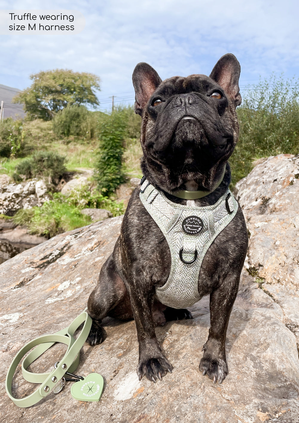 Tough Trails™ Harness - Country Thyme