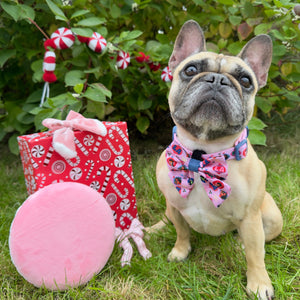 Disney© Sailor Bow - Princess