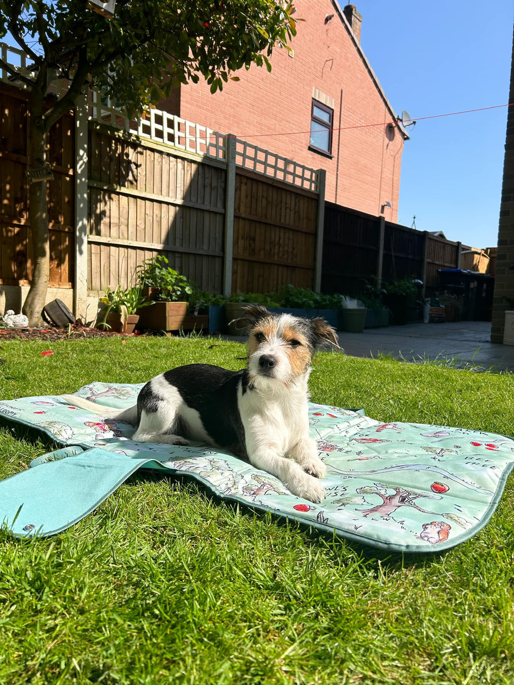 Disney© Travel Mat - 100 Aker Wood