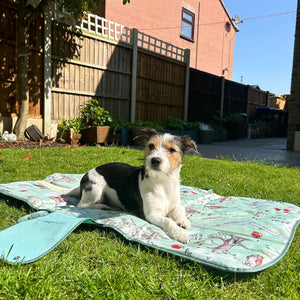 Disney© Travel Mat - 100 Aker Wood