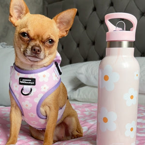 Stainless Steel Bottle with Straw - Pink Flowers
