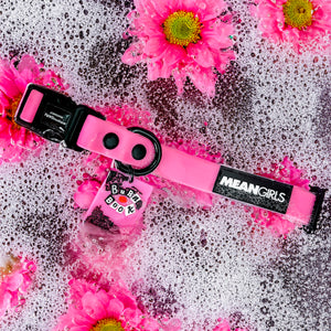 Waterproof Collar - Mean Girls