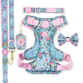 Whimsical Wildflower Ultimate Bundle