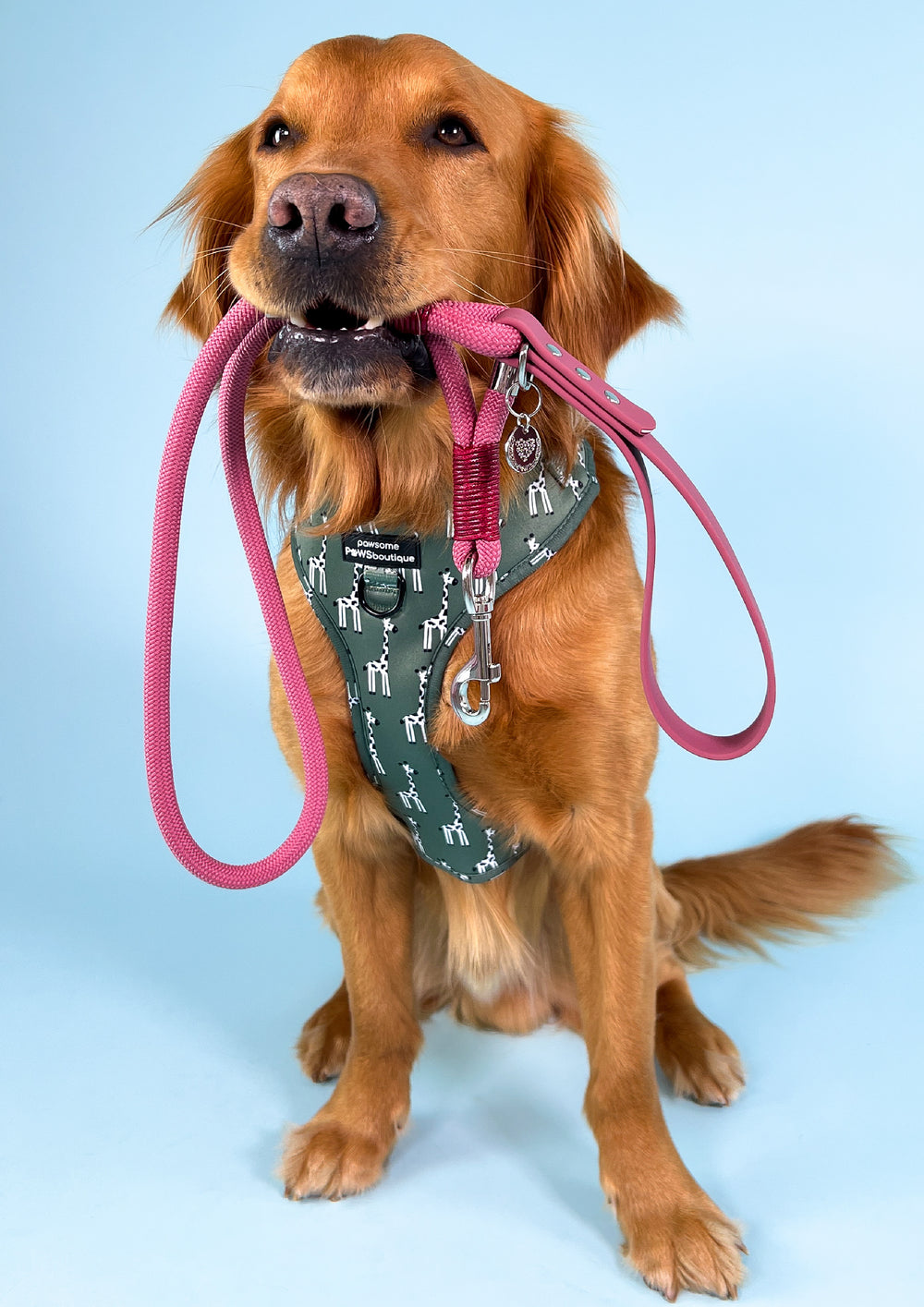 4ft Rope Lead - Wine Red