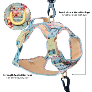 Disney© Tough Trails™ Harness - Winnie The Pooh