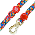 Winnie Goes Retro Ultimate Bundle
