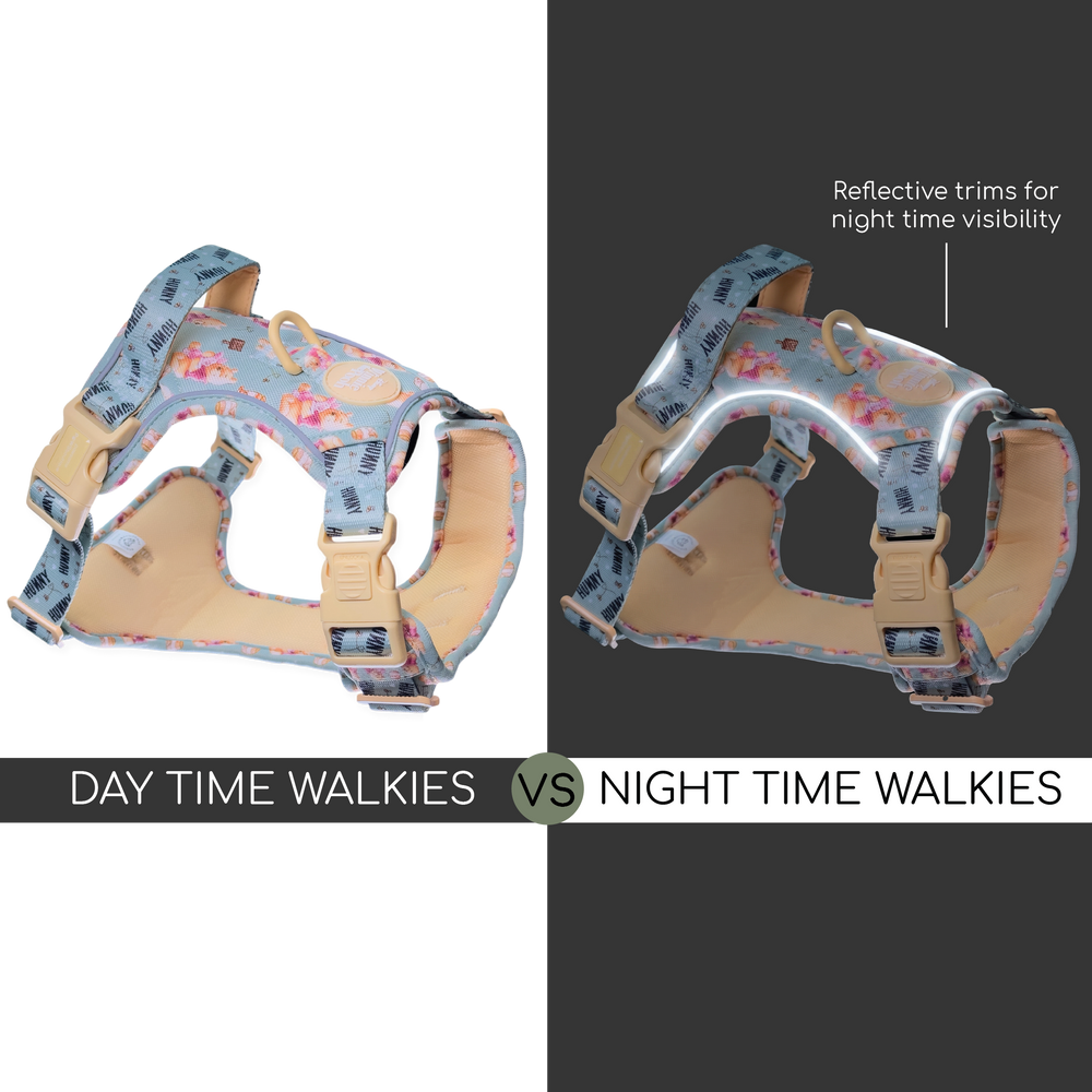 Disney© Tough Trails™ Harness - Winnie The Pooh