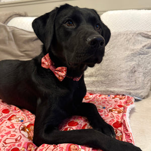 Disney© Bow Tie - Jessie