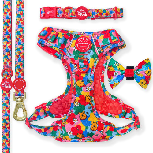 Winnie Goes Retro Ultimate Bundle