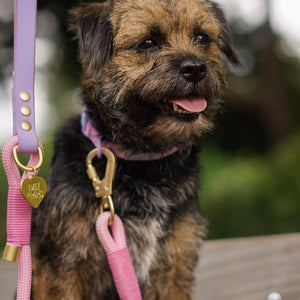 4ft Rope Lead - Emily In Paris