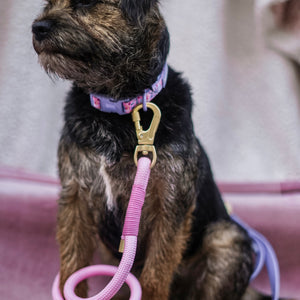 Collar - Emily In Paris