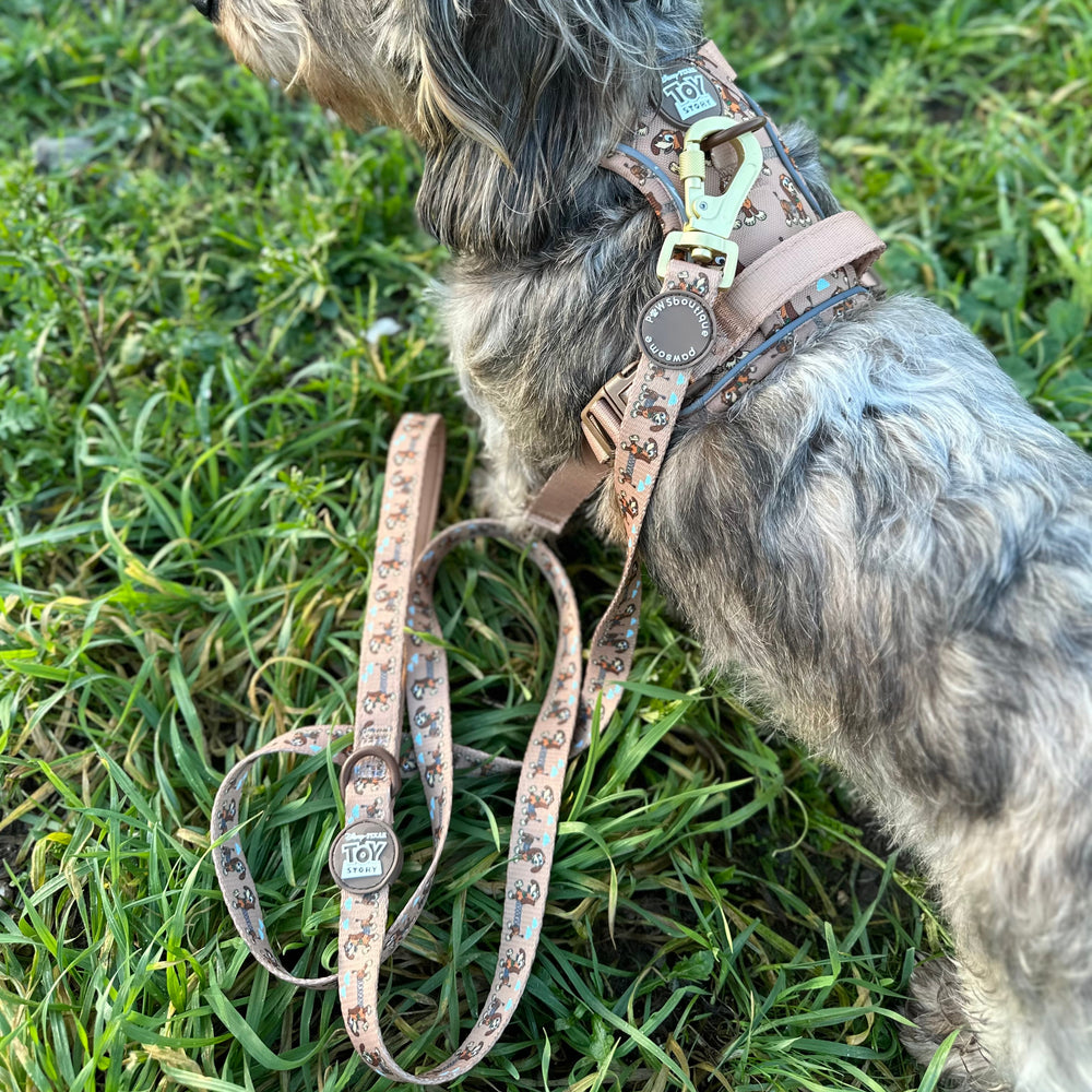 Disney© Lead - Slinky