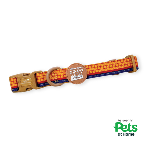 Disney© Collar - Woody