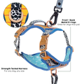 Disney© Tough Trails™ Harness - Woody