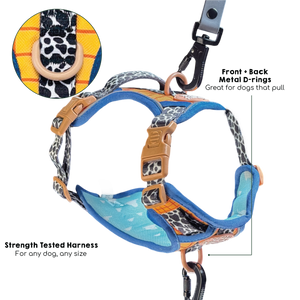Disney© Tough Trails™ Harness - Woody