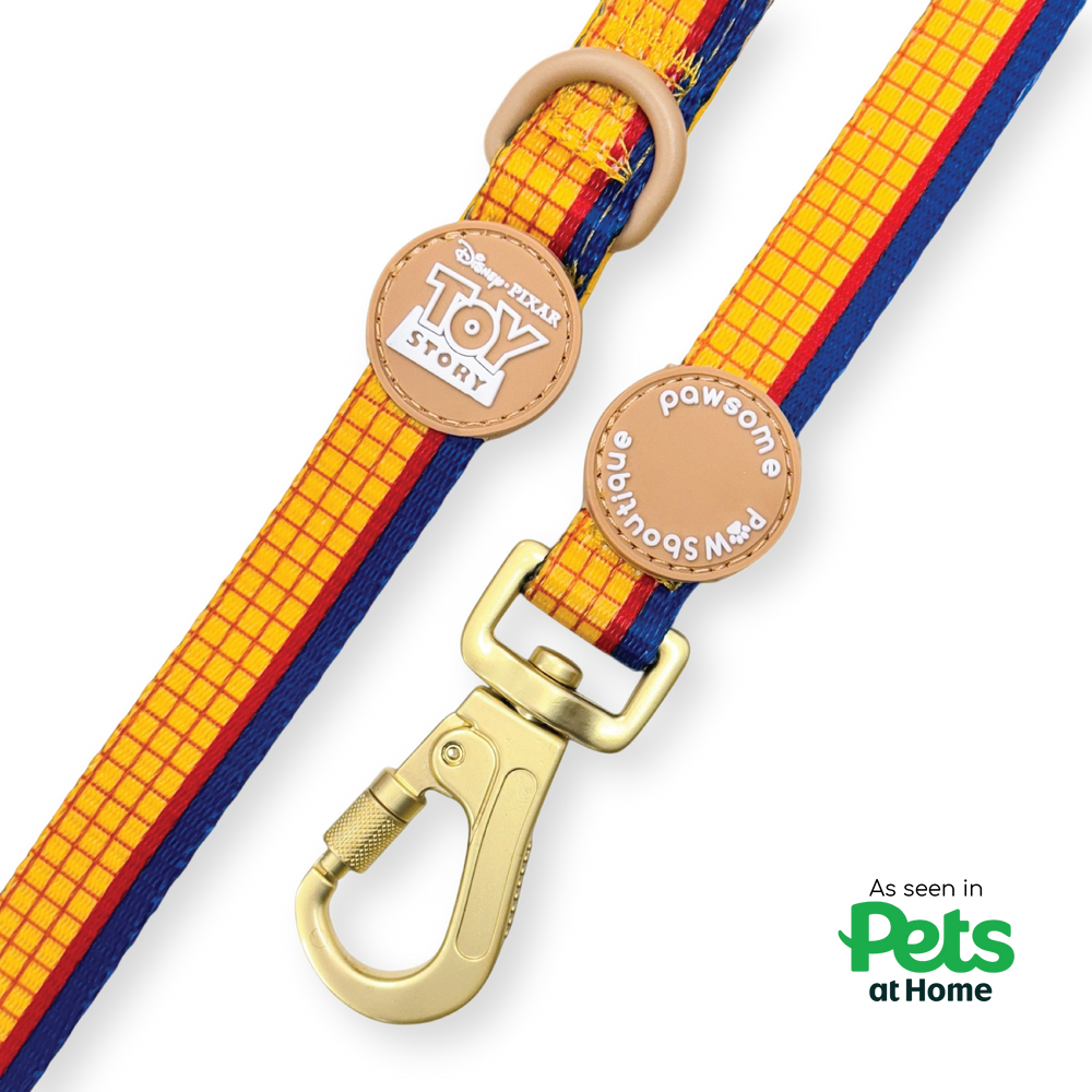 Disney© Lead - Woody