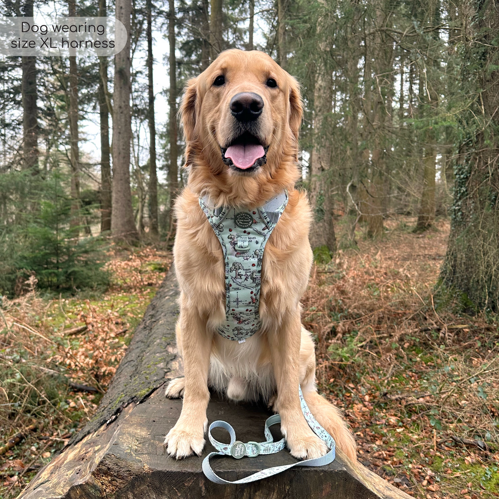 Disney© Tough Trails™ Harness - 100 Aker Wood