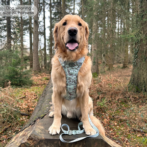 Disney© Tough Trails™ Harness - 100 Aker Wood