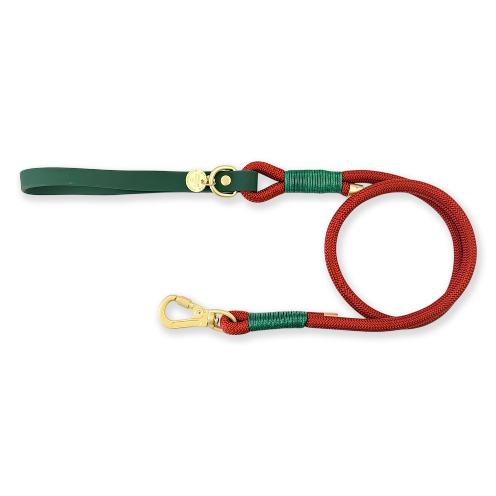 4ft Rope Lead - Red + Green