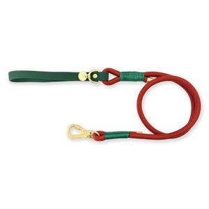 4ft Rope Lead - Red + Green