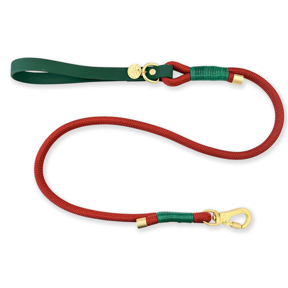 4ft Rope Lead - Red + Green