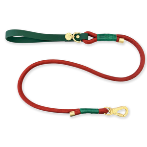 4ft Rope Lead - Red + Green