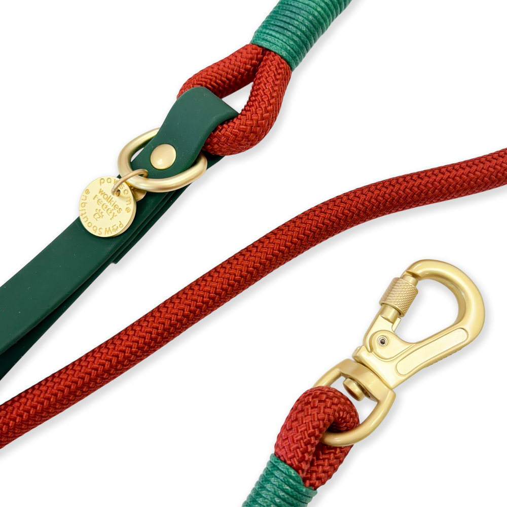 4ft Rope Lead - Red + Green