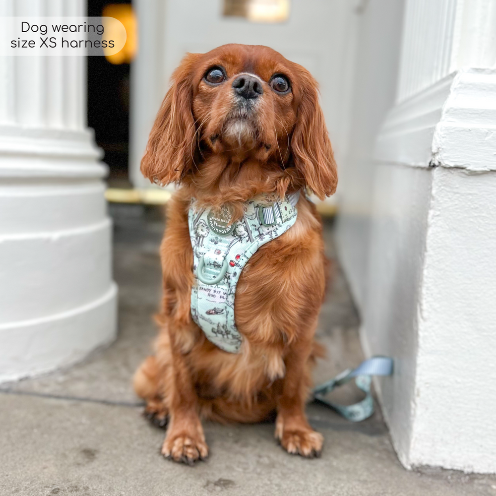 Disney© Tough Trails™ Harness - 100 Aker Wood